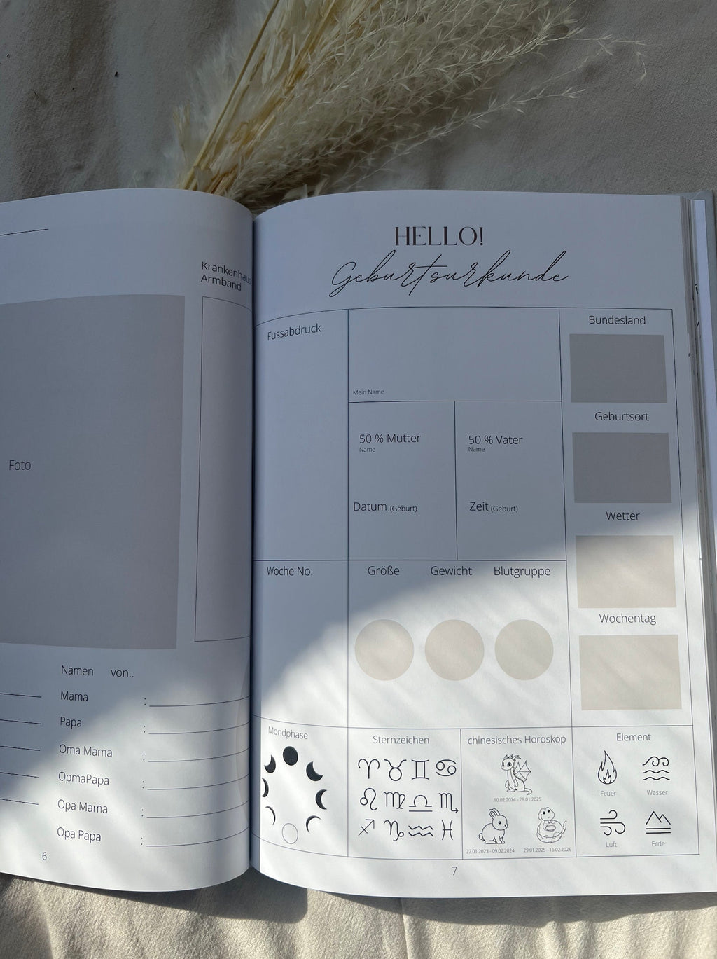 Babytagebuch - Mein erstes Jahr