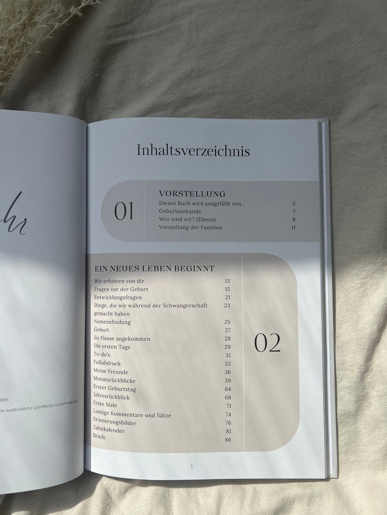 Babytagebuch - Mein erstes Jahr