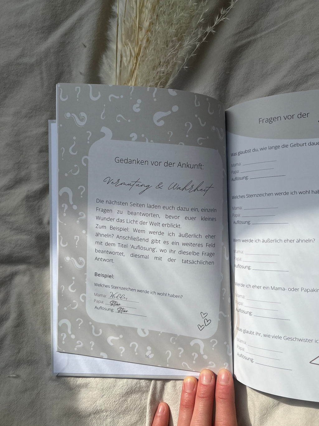 Babytagebuch - Mein erstes Jahr